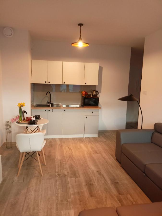 Apartament Z Sauna I Jacuzzi Apartment Radom Exterior foto
